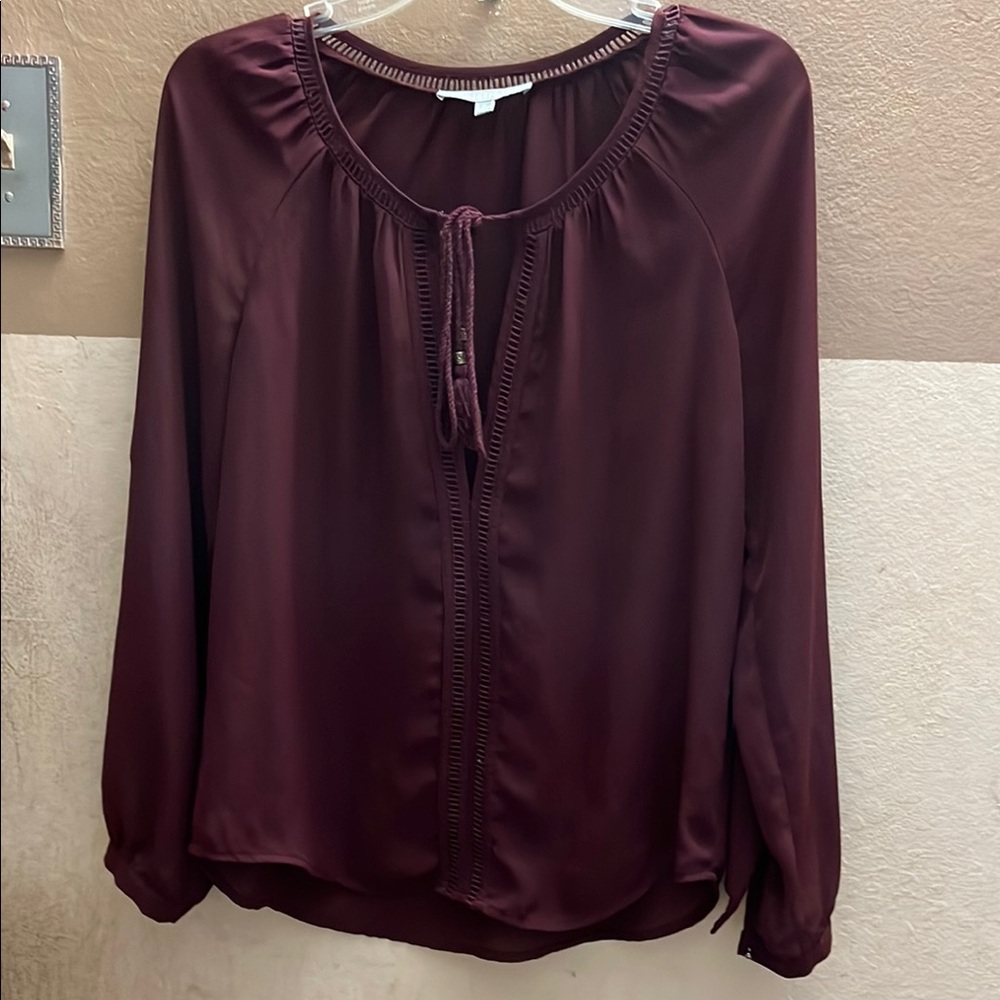 Daniel Rainn Deep Burgundy Blouse